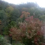 Elbenland Bad Schandau